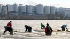 Германия губи 30 мрлд. евро заради липсата на персонал