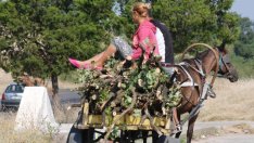 Започнаха масови проверки за нарушения в горите