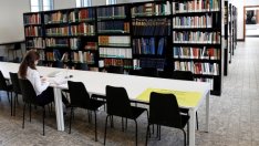 Чуждестранните студенти могат да станат фактор на пазара на труда