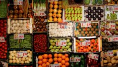 Половината плодове и зеленчуци в САЩ отиват на боклука