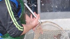 Черноморският улов е намалял с около две хиляди тона за една година