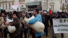 Брюксел разреши на България да отпусне 70 млн. лв. за акциза на горивата