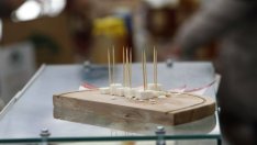 Ръстът в цените на сиренето и маслото може да стигне 15% на годишна база