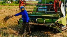 При несигурен пазар на труда универсалният базов доход не е единственото решение