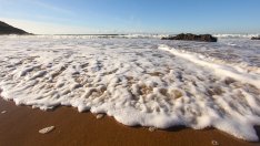 Кабинетът одобри категоризацията на плажовете