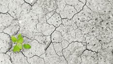 Напредък на САЩ в борбата с климатичните промени има - със или без Тръмп