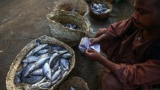 Промените в климата застрашават поминъка на рибарите в Судан