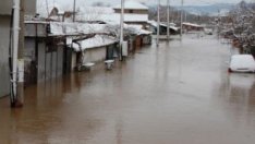 Харманли и Свиленград ще получат помощ като селски райони след одобрение от ЕК