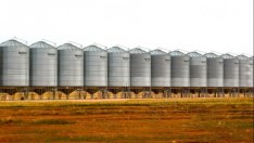 Софийска стокова борса и Българска стокова борса се обединяват