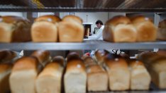 Индустрията и образованието предлагат най-много работни места у нас през юли