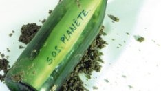 Учени: До 2050 г. климатът в България става субтропичен 