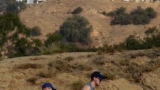 Холивуд се радва на силно лято с ръст на приходите от билети с 12,8%