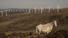 Европейските фирми увеличават значително покупките на зелена енергия през 2023 г.