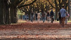 От КНСБ очакват ръст на средната заплата с 12-15% догодина