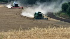 Българското земеделие отчете ръст от 8,9% за 2017 г.