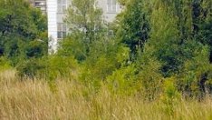 Строителството на София Тех Парк започва в средата на годината