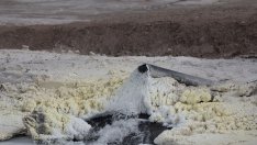 Боливия залага на Китай и „Росатом“ за отключване на своите залежи от литий