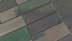 Плодородието на Добруджа – подарък от полезащитните пояси