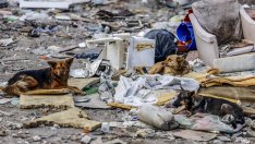 Руснаци са горели трупове на загинали свои войници на сметището?