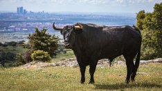 Защо американските акции са толкова скъпи въпреки кризата?