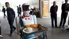 Следващото поколение фермери в Япония – роботи?