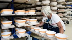 Германия отчита най-слаб ръст на БВП от 6 години насам