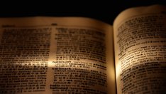 „Халюцинирам“ е думата на годината на речника на "Кеймбридж"