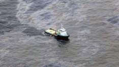 Бразилия и Chevron постигнаха споразумение за петролния разлив