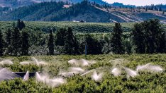 Гърция и България сключиха 5-годишно споразумение за водите на река Арда