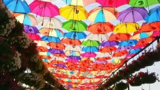 Дубай се готви да стане арт столица на арабския свят