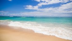 18 плажа и едно пристанище у нас получиха "Син флаг"