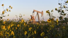 Добивът на петрол на ОПЕК е намалял рязко през декември