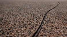 Какво се крие зад плана на ЕС за климатичните промени?