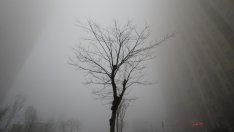 38,4 трлн. долара е цената, която светът трябва да плати за промените в климата