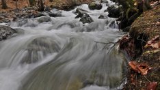 Екоминистерството даде на общините да управляват 12 находища на минерална вода