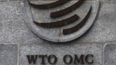 СТО отменя срещите си заради коронавируса