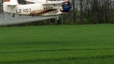 Увеличават се засетите площи с царевица и слънчоглед 