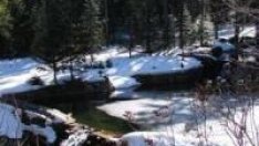 Колко „струват“ царските имоти?*