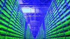 Централните банки не трябва да бързат с дигиталните си валути