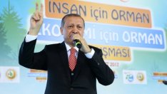 Ердоган поиска актуализиране на договора за границата с Гърция в Егейско море