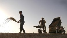 Безработицата в България се задържа на 5,7% през юли