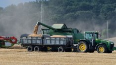 Нова прогноза за зърнената реколта понижи цените