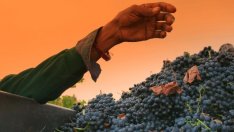 Бизнесът иска опростени процедури за еднодневните договори