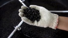 Как климатичните промени изправят света пред недостиг на кафе