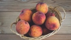 438 фирми ще доставят плодове и млечни продукти в училищата