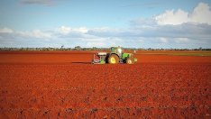 Венцислав Върбанов: Да спрем с износа на евтина селскостопанска продукция