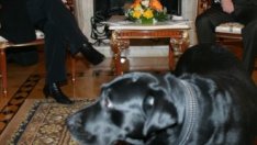 Меркел и Путин - времето на игрите премина