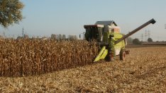 ЕС удължи с още година безмитния внос на украински стоки