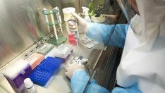 Доц. Любомира Николаева-Гломб: Ваксинираните за кратко могат да носят вируса