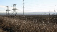 Украйна може да поднови износа на пшеница, ако сеитбата върви добре